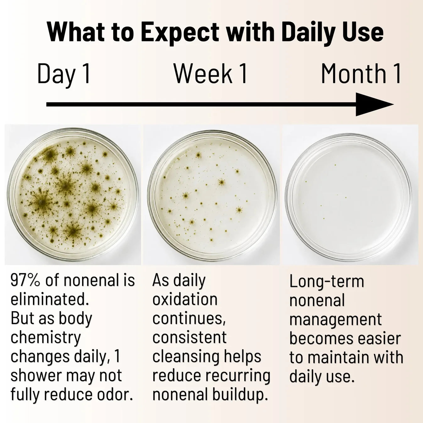 Persimmon Body Wash